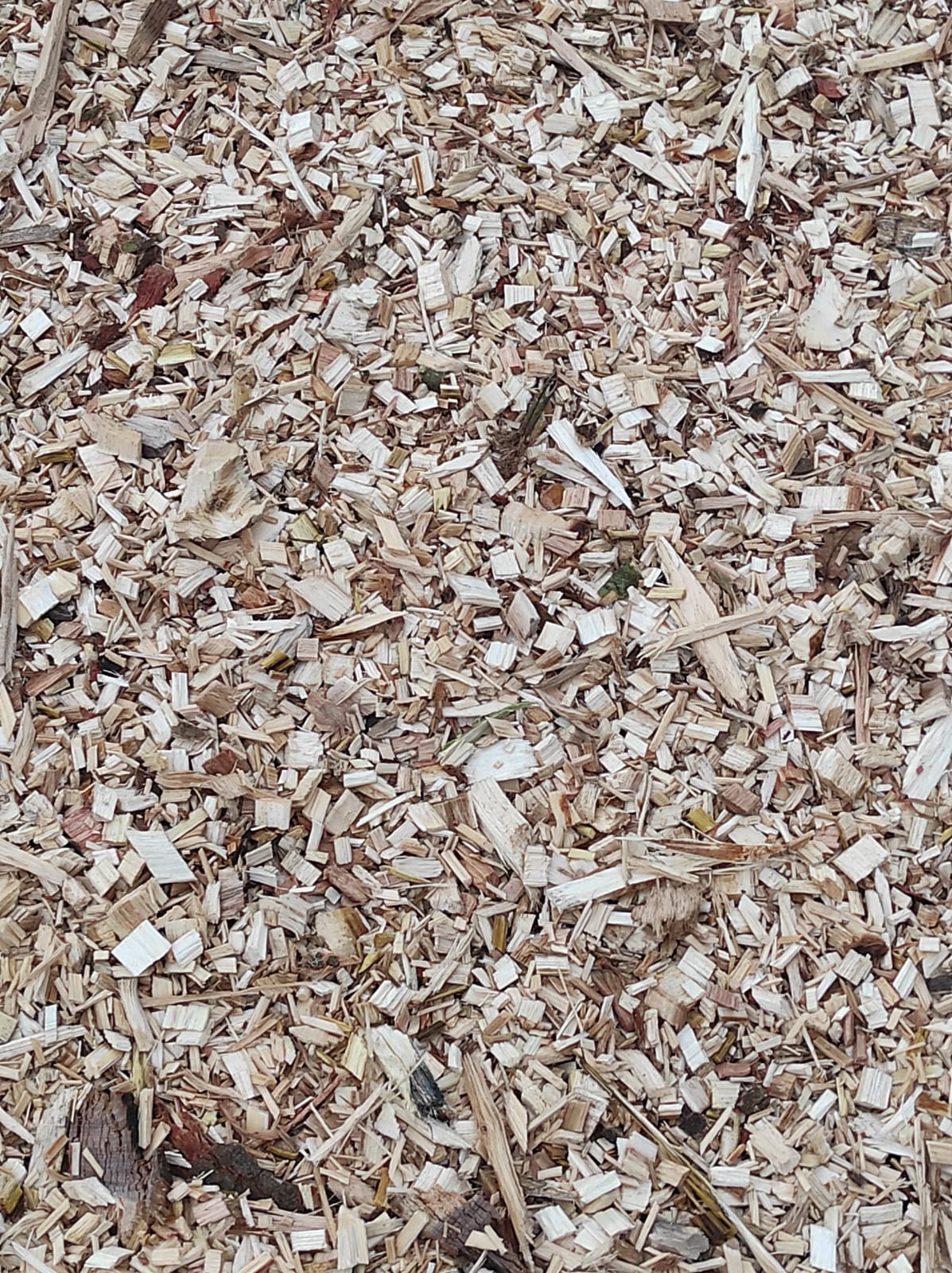 Trituración y reciclaje de biomasa